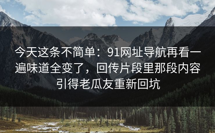 今天这条不简单：91网址导航再看一遍味道全变了，回传片段里那段内容引得老瓜友重新回坑